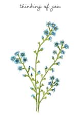 Thinking of You 'Forget-me-nots' created by Arty Bee Designs