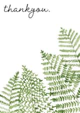 Thankyou 'fern' created by Arty Bee Designs