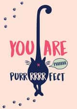 You are Purrrrfect Cat Love Card created by Studio Peers