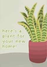 A Plant For Your New Home created by Emily Underworld