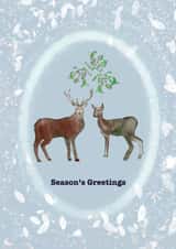 A Little Ho Ho Ho with the Stag, Doe and Mistletoe created by Nina Modray