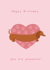 Dachshund Pawsome Birthday Card created by Holly Studio