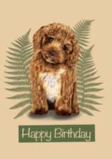 Cute Cavapoo Birthday Card 1001 created by Fat Nancy Cards