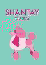 Shantay You Stay - Fabulous Poodle birthday / Valentines Card  created by Ryan Hodge 