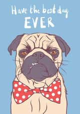 Best Day Ever Pug birthday Card  created by Ryan Hodge 