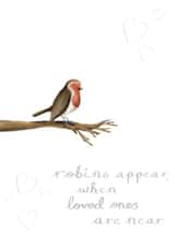 Robins appear when loved ones are near created by Palette&Petal 