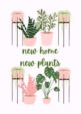 New home new plants created by Custom Card Co Shop