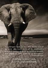 Nothing is ever lost - atheist sympathy card created by Irregular Thoughts