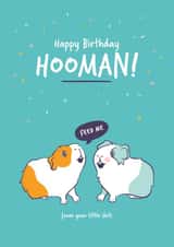 Rude Guinea Pig Birthday Card - from your little shits created by Goofy Guineas