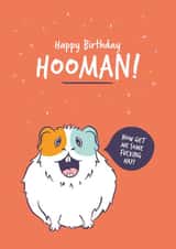 Rude Guinea Pig Birthday Card Demanding Hay created by Goofy Guineas