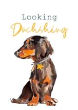 Looking Dachshing  created by Leanne Mullen