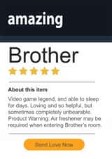 Funny 5 Star Brother Birthday Card - Prime Grade A Amazing Brother, Amazon Love created by Rosewood Design