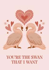 You're the swan that I want created by Beth Wake