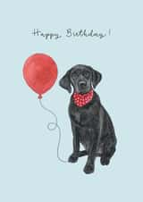Black Labrador Birthday Card created by Amelia Ilangaratne