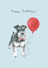 Miniature Schnauzer Birthday Card created by Amelia Ilangaratne