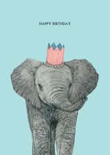 Elephant in a Party Hat Card created by Amelia Ilangaratne