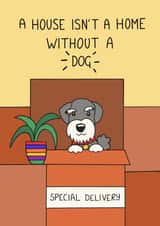 Cute Dog Delivery New Home Card - Schnauzer - A House Isn't A Home Without A Dog created by Schnauzer Scribbles
