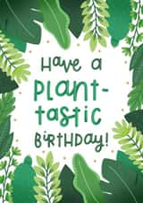 Have a Plant-tastic Birthday Card created by Joanne Hawker