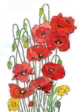 Beautiful Poppy Grettings Card created by Nicky's Art
