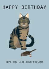 Hope You Like Your Present Cat Birthday Card 1000 created by Taura Designs