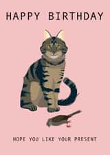 Hope You Like Your Present Cat Birthday Card 1001 created by Taura Designs