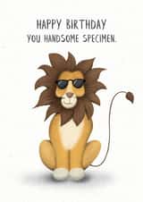 Funny Lion Happy Birthday Handsome Card created by Lanther Black