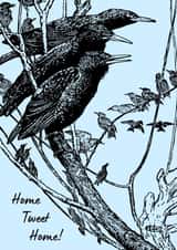 Starlings roosting - 'Home Tweet Home' card created by NiftyGiftsUK