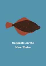 New Plaice, New Home created by Dave Mohammed