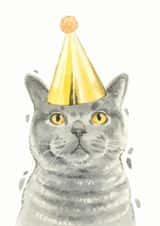 British Shorthair Cat Birthday Card created by Robert James Hull