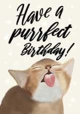 Have a Purrfect Birthday created by onethirtysix_am