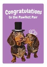Dachshund Wedding Congratulations Card - The pawfect pair created by Studio Woof