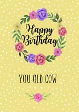 Happy Birthday You Old Cow Sarcastic Card created by Pretty Cheeky