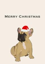 French bulldog Christmas wishes created by Accidental Artist