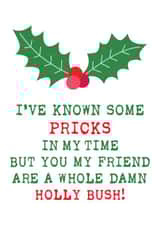 Merry Christmas You Prick created by Simply Nix