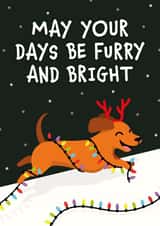 May your days be furry and bright created by Kiddy Winks Prints
