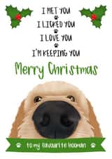 Cute - Hooman - Cockapoo - Merry Christmas Card - From the Dog created by The Merry Giraffe