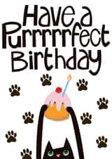 Pussy cat birthday cuteness created by Hinkypunk Illustration