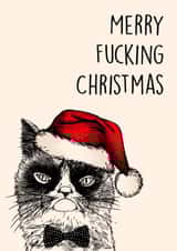 Angry Cat Christmas created by Poppy & Mabel