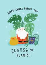 Hope Santa brings you lots of plants! created by Jess Moorhouse