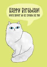 Spoiled Cat Happy Birthday created by Kitty Cats Joy