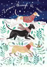 Zoomies Christmas Card created by Katie Whitton Design
