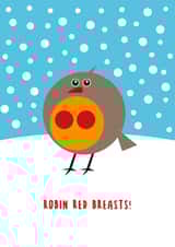 Cheeky Robin Christmas Card created by Sean Cullen