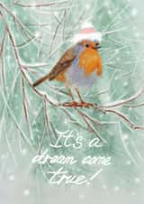 it s a dreum com true created by Rimma Fatkulan