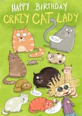 Crazy cat lady created by Leah Rowe