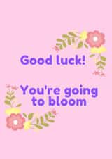 Good luck! You're going to bloom created by Abbe Smith