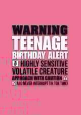 Teenage girl birthday card. created by Pendrea Noye