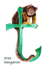 T is for tree kangaroo card created by Wilderness Illustrated