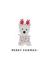 Westie christmas card created by Giggl Greetings 