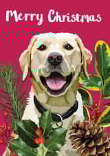 Dog Christmas Card created by Sarah Kelleher