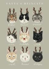 Santa's Reincats created by Hope Olivia Illustrations